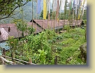 Sikkim-Mar2011 (209) * 3648 x 2736 * (6.15MB)